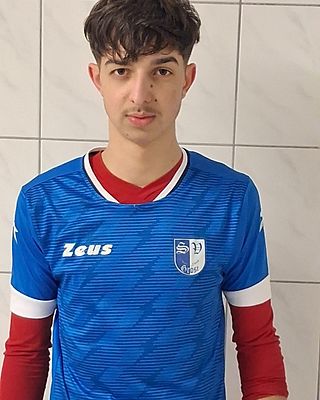 Alexandru-Florentin Pelmus