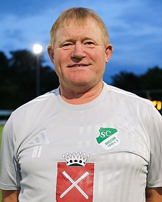 Werner Schulte