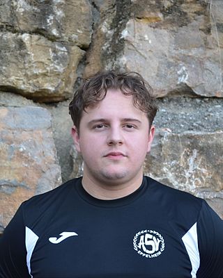 Triantafilos Gliatis