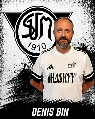 Denis Bin
