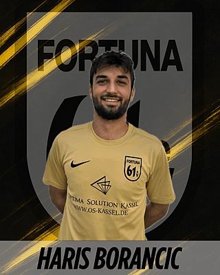 Haris Borancic