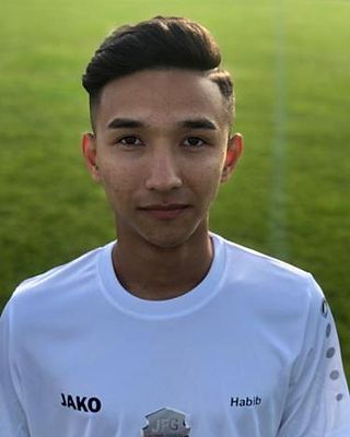 Habibullah Mohammadi