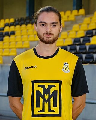 Sven Alexandre Nguyen-Trong