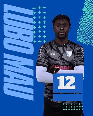 Alexandre Ferreira Mendes