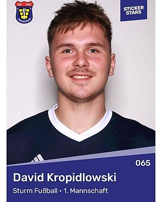 David Kropidlowski