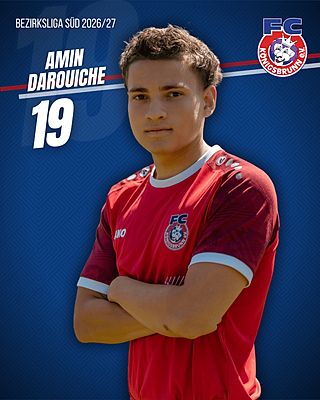 Amin Darouiche