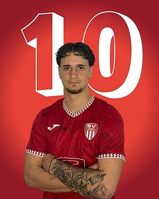 Silviu-Andrei Capota