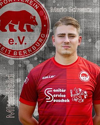 Mario Schwarz
