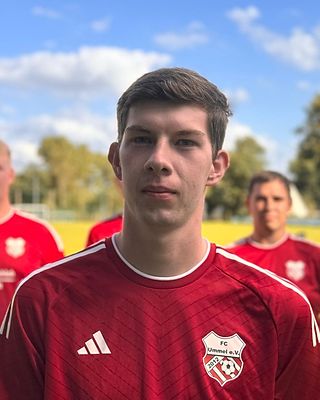 Dominik Mehrle