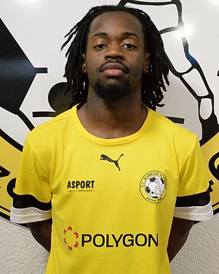 Steven Luntadila Bessa