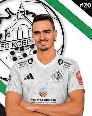 Joao Tomas Ferreira Borges