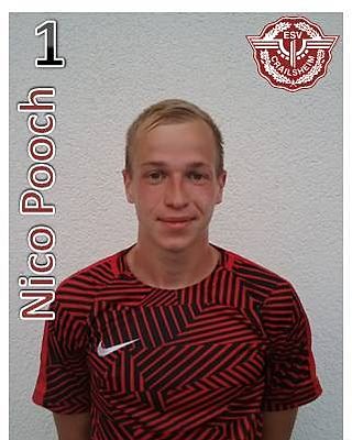 Nico Pooch