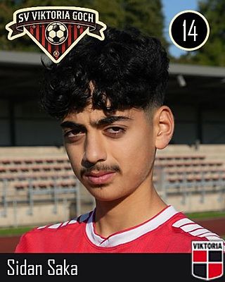 Sidan Heja Saka