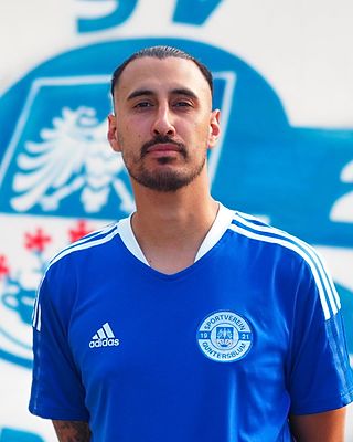 Omid Andor Hensel-Shirkavand