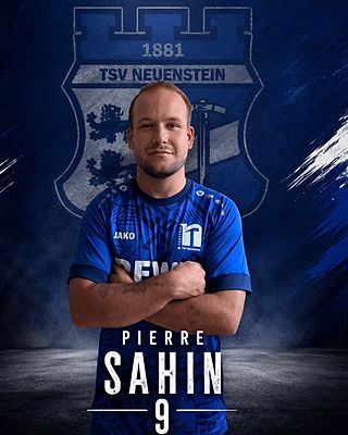 Pierre Sahin