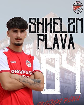 Shkelzen Plava