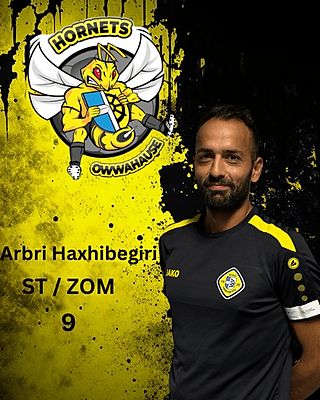 Arbri Haxhibegiri