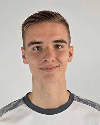 Nico Potjans