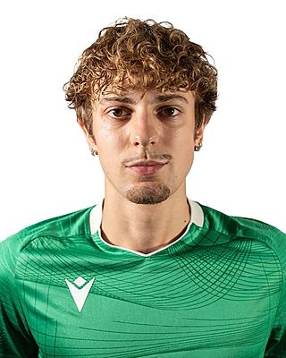 Hannes Oke Ahrens