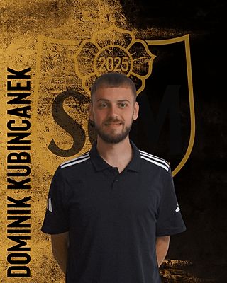 Dominik Kubincanek