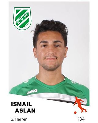 Ismail Aslan