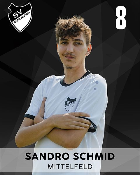 Sandro Schmid