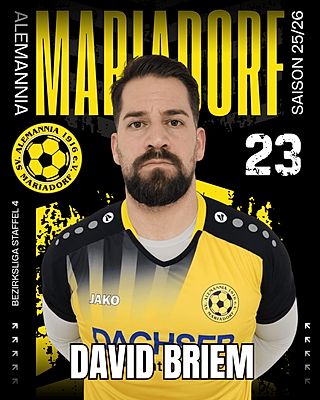 David Briem