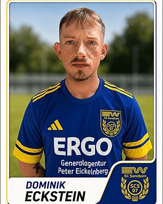 Dominik Tim Eckstein