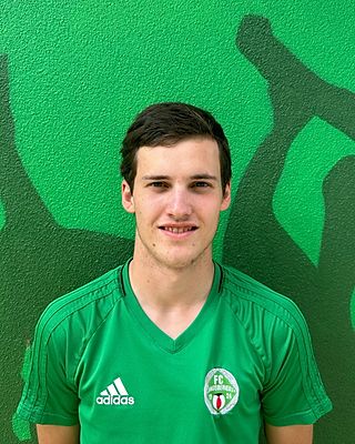 Jonas Hollinger