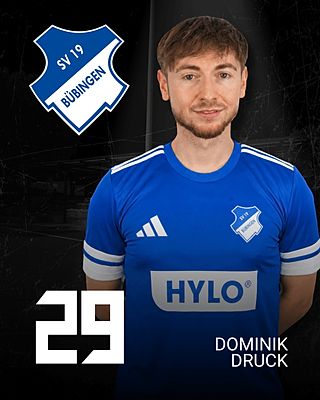 Dominik Druck