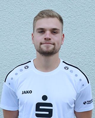 Vincent Alexander Brincks