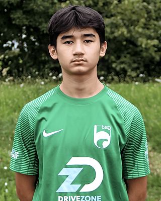 Reza Hosseni