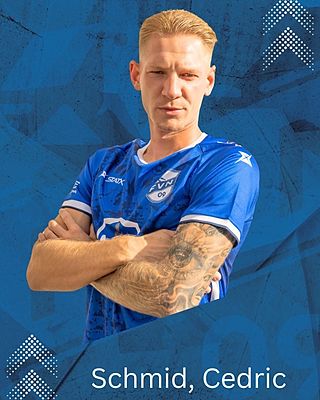 Cedric Schmid