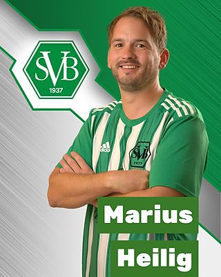 Marius Heilig