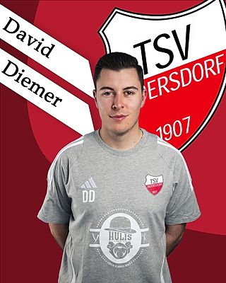 David Diemer