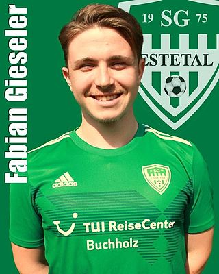 Fabian Gieseler