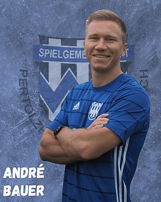 Andre Bauer