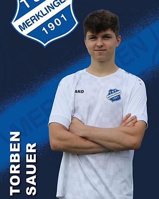 Torben Sauer