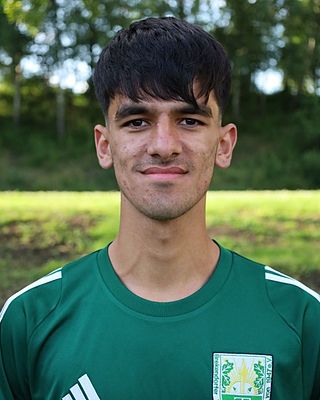 Sayed Faisal Haidari