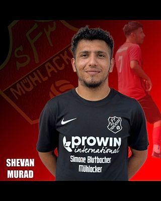 Shevan Murad