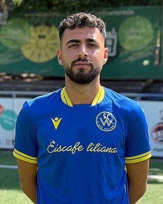 Sefa-Mert Simsek