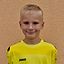 Joel Stricker