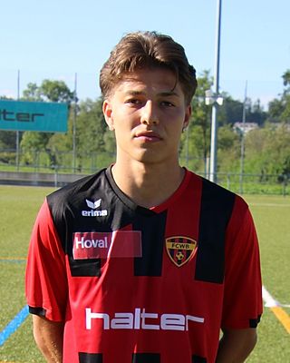 Velibor Stevanovic