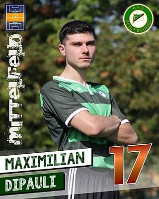 Maximilian Dipauli