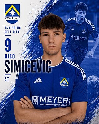Nico Simicevic