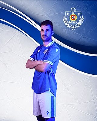 Ricardo Mendes Ferreira