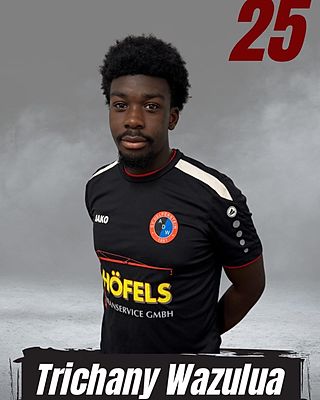 Trichany Wazulua