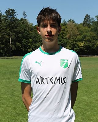 Mattis Hustede