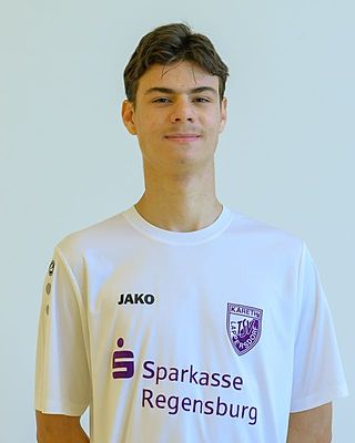 Ajdin Vrevic
