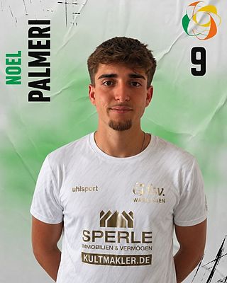 Noel Palmeri